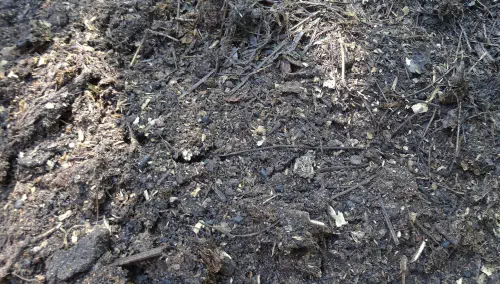 © Biochar-compost blend, E. Azzi