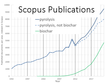 *Peer-reviewed publications containing the keyword biochar published annually, as indexed in Scopus*
