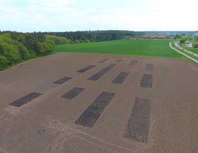  *Field trials. Photo: Örjan Berglund*