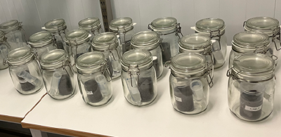 *Incubation jars. Photo: Harald Cederlund*