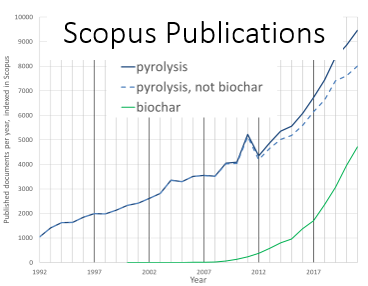 *Peer-reviewed publikationer som innehåller nyckelordet biokol publiceras årligen, som indexeras i Scopus*